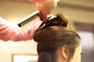 健康な体をキープするための霊芝